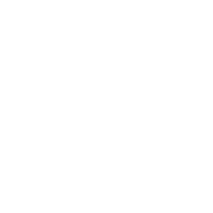 Mining Services